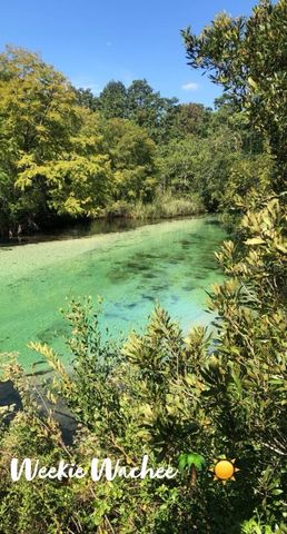 4544 CYNTHIA LANE, Spring Hill, FL 34606