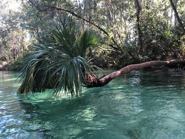 4544 CYNTHIA LANE, Spring Hill, FL 34606