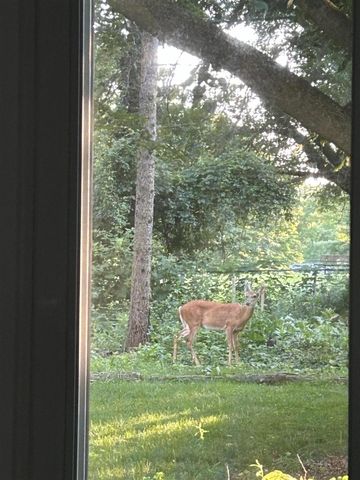 827 N Mansfield Street, Ypsilanti, MI 48197