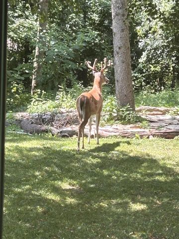 827 N Mansfield Street, Ypsilanti, MI 48197