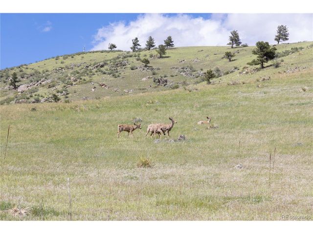 3600 Blue Mountain Trl, Lyons, CO 80540