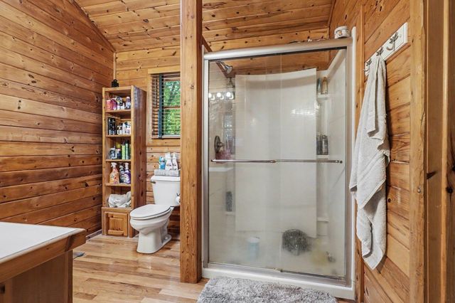 4882 White Birch Lane, Farwell, MI 48622