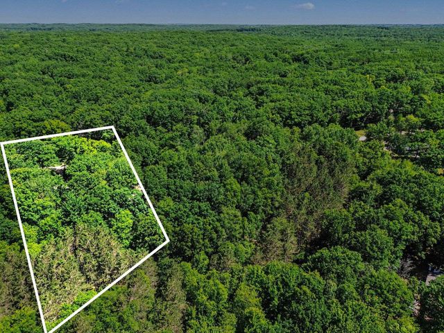 4882 White Birch Lane, Farwell, MI 48622