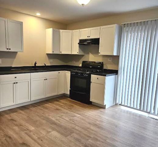 914 Hillside Avenue 1, Antioch, IL 60002