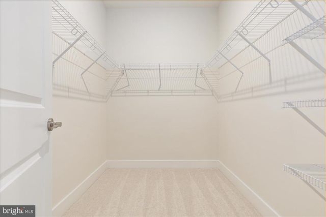 117 WAGTAIL LN, Winchester, VA 22603