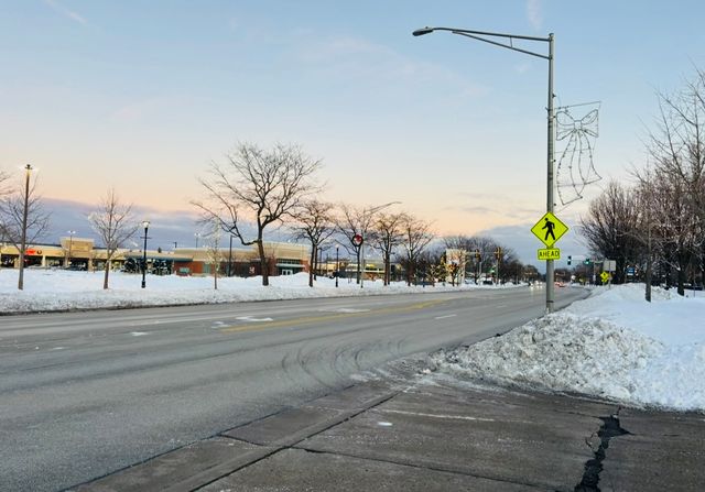 3255 Kirchoff Road 106, Rolling Meadows, IL 60008