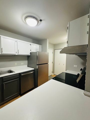 3255 Kirchoff Road 106, Rolling Meadows, IL 60008