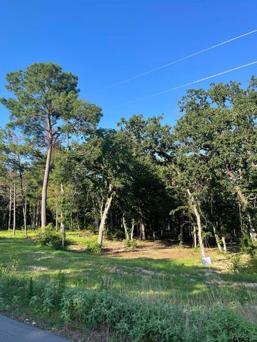 3242 Shadow Pine Dr, Larue, TX 75770