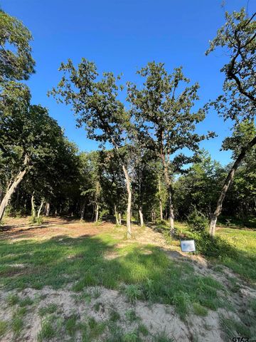 3242 Shadow Pine Dr, Larue, TX 75770
