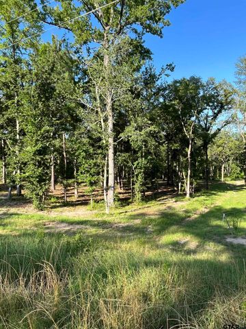 3242 Shadow Pine Dr, Larue, TX 75770