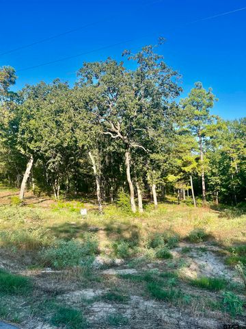 3242 Shadow Pine Dr, Larue, TX 75770