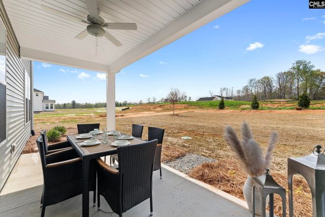 310 Rising Stream Way, Chapin, SC 29036