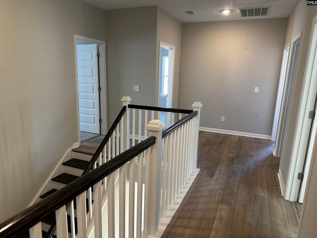 310 Rising Stream Way, Chapin, SC 29036