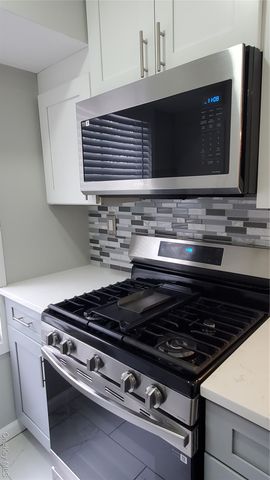 11 Idaho 11, Coram, NY 11727