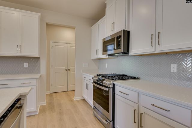 705 Feldpsar Court, Chapin, SC 29036