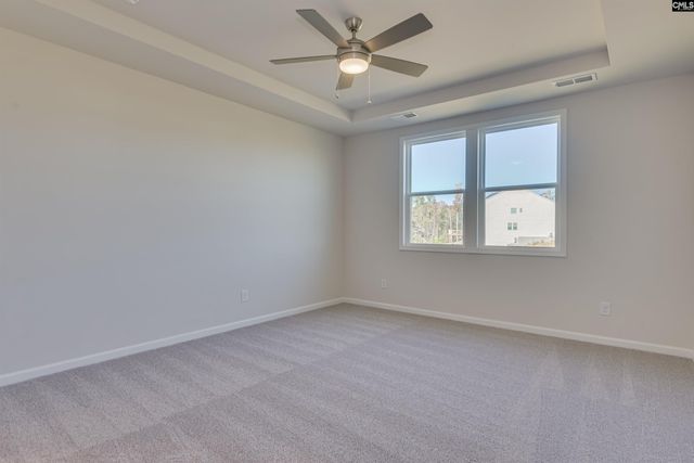 705 Feldpsar Court, Chapin, SC 29036