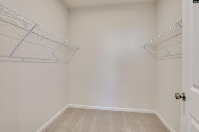 705 Feldpsar Court, Chapin, SC 29036