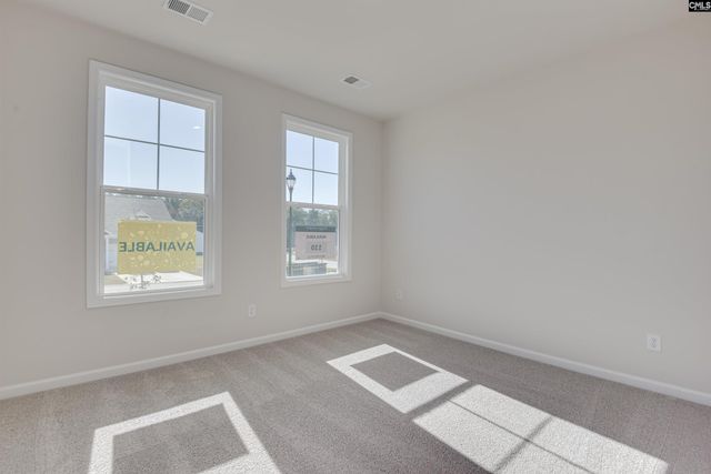 705 Feldpsar Court, Chapin, SC 29036