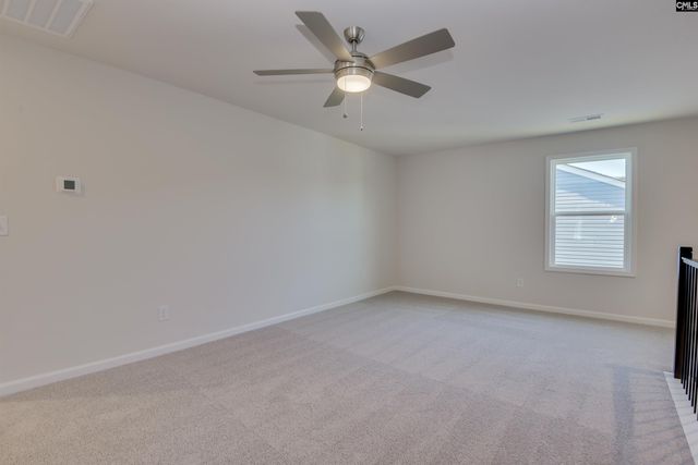 705 Feldpsar Court, Chapin, SC 29036