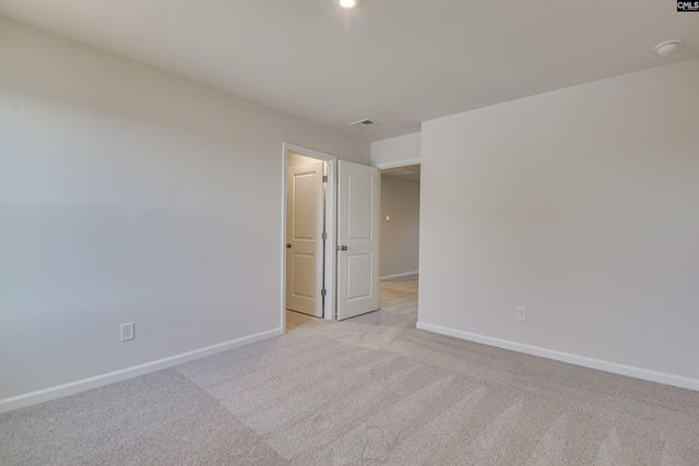 705 Feldpsar Court, Chapin, SC 29036