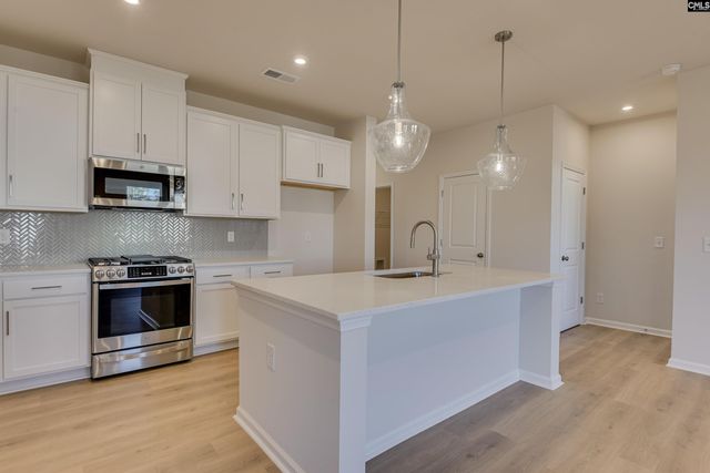 705 Feldpsar Court, Chapin, SC 29036
