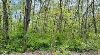 Old Toll Rd Road, Madison, CT 06443