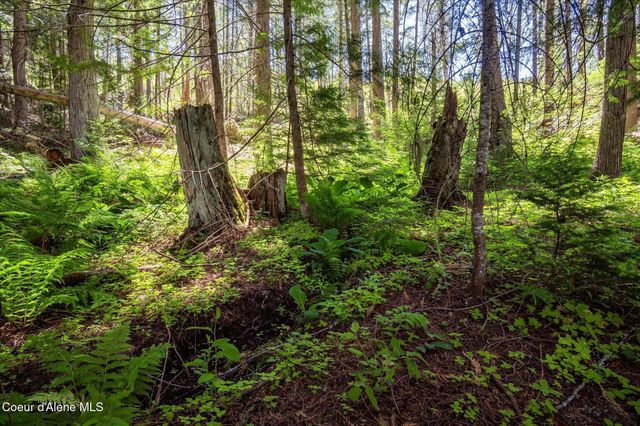 9598 S Upper Twin Lakes Shore, Rathdrum, ID 83858