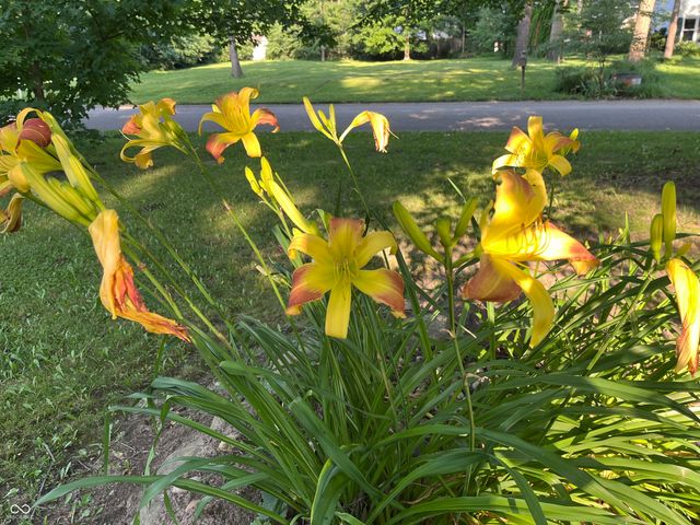 9970 Oakleaf Way, Mccordsville, IN 46055