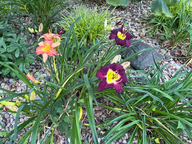 9970 Oakleaf Way, Mccordsville, IN 46055