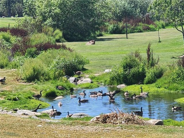9 Via Laguna, Laguna Niguel, CA 92677