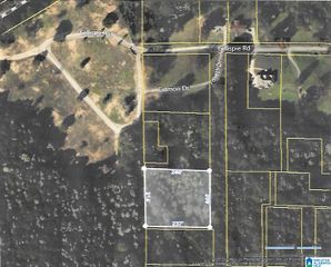 1536 FORREST DRIVE, Dolomite, AL 35061