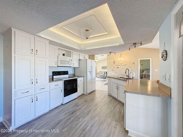 15151 Copeland Way, Brooksville, FL 34604