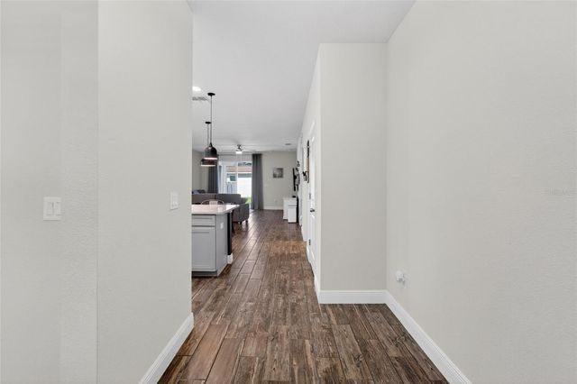 13517 TEXAS SAGE PLACE, Riverview, FL 33579