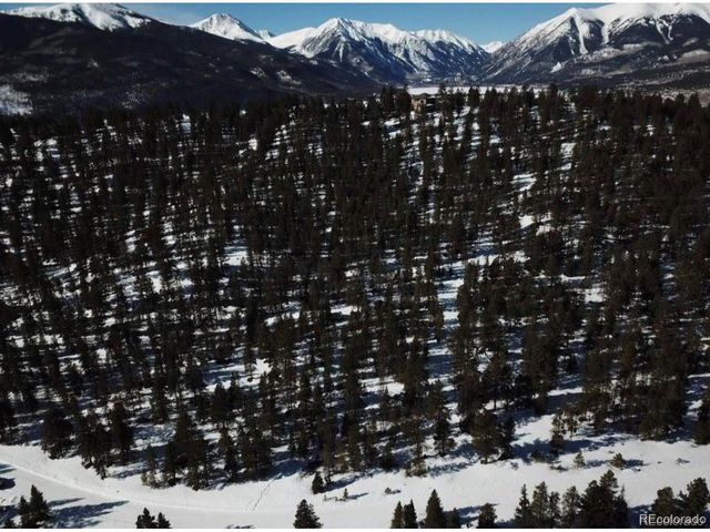 680 Edward East Hill Dr, Twin Lakes, CO 81251
