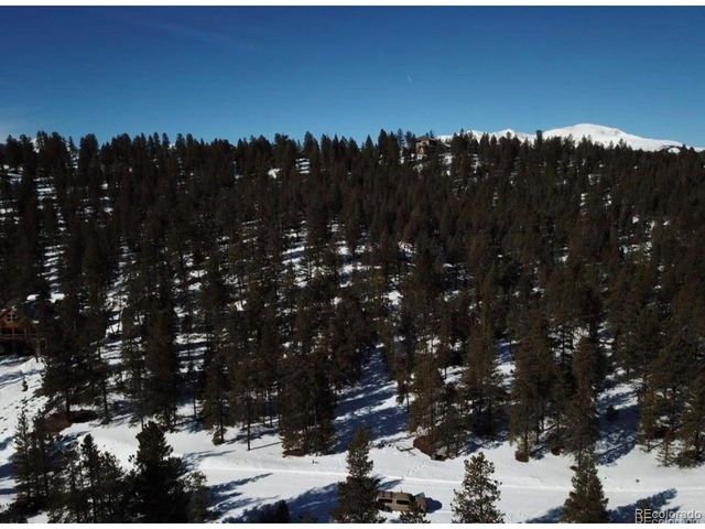 680 Edward East Hill Dr, Twin Lakes, CO 81251