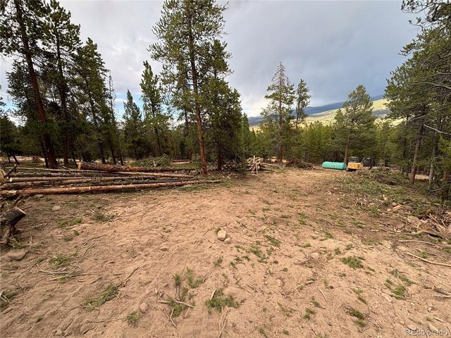 680 Edward East Hill Dr, Twin Lakes, CO 81251