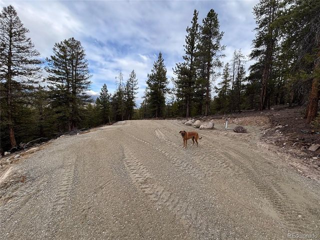 680 Edward East Hill Dr, Twin Lakes, CO 81251
