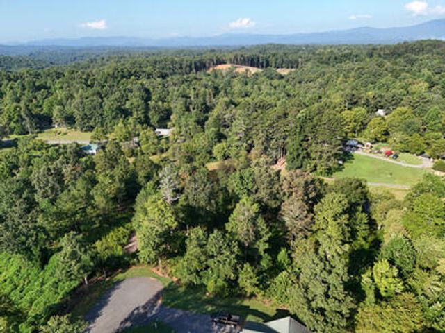 Lot 36 Creekview Trail, Mineral Bluff, GA 30559