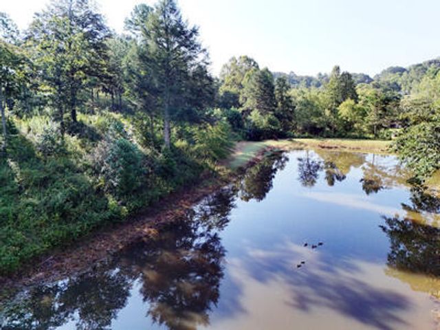 Lot 36 Creekview Trail, Mineral Bluff, GA 30559