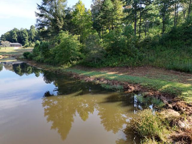 Lot 36 Creekview Trail, Mineral Bluff, GA 30559