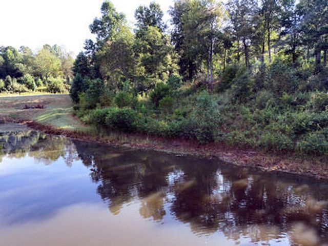 Lot 36 Creekview Trail, Mineral Bluff, GA 30559