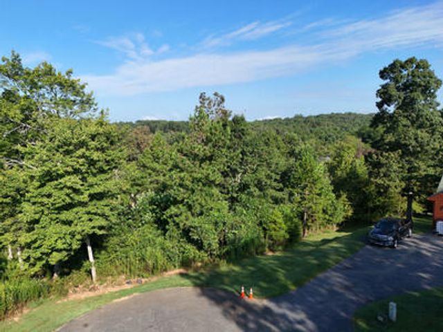 Lot 36 Creekview Trail, Mineral Bluff, GA 30559