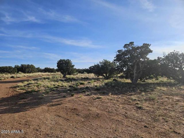 110 N COUNTY ROAD N5578 --, Concho, AZ 85924