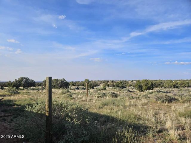 110 N COUNTY ROAD N5578 --, Concho, AZ 85924