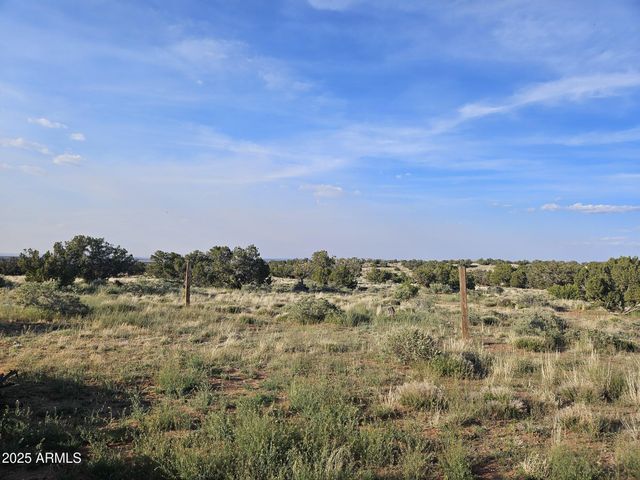 110 N COUNTY ROAD N5578 --, Concho, AZ 85924