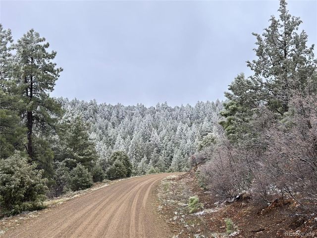 33280 Turkey Creek Lane, Trinidad, CO 81082