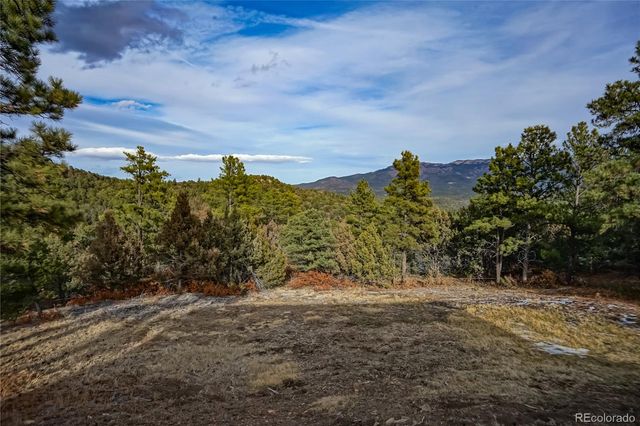 33280 Turkey Creek Lane, Trinidad, CO 81082