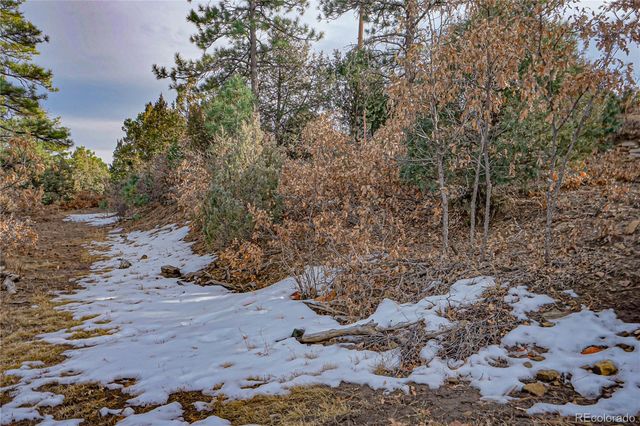 33280 Turkey Creek Lane, Trinidad, CO 81082