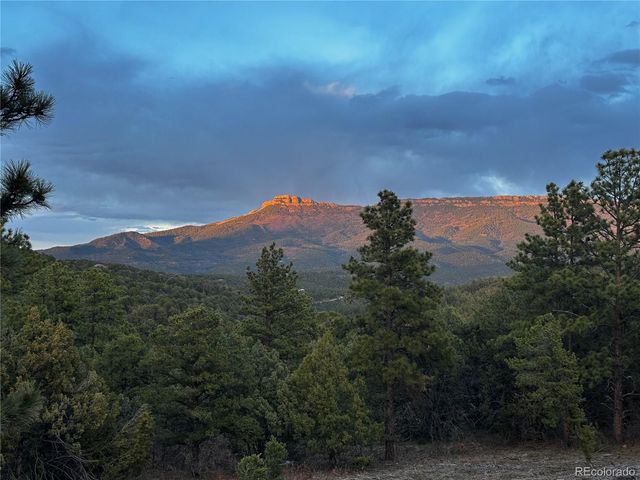 33280 Turkey Creek Lane, Trinidad, CO 81082