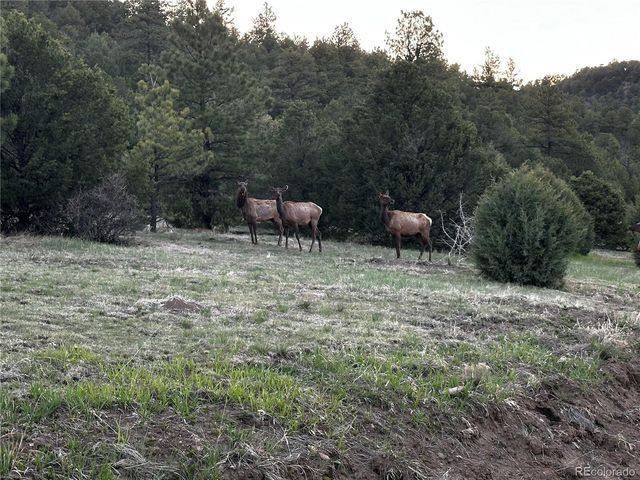 33280 Turkey Creek Lane, Trinidad, CO 81082